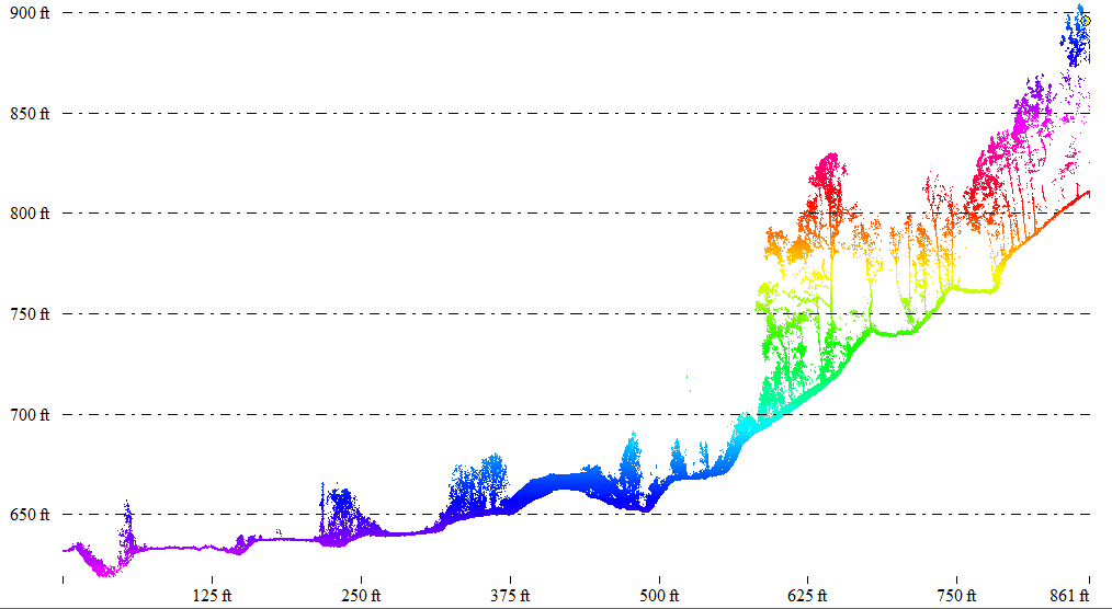 LIDAR cross-section showing scattered tree canopy returns above the ground line
